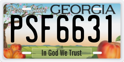 GA license plate PSF6631