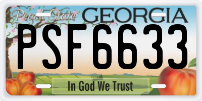 GA license plate PSF6633