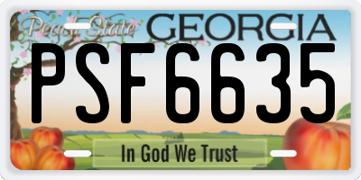 GA license plate PSF6635