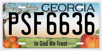 GA license plate PSF6636