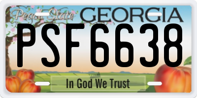 GA license plate PSF6638