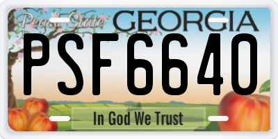 GA license plate PSF6640