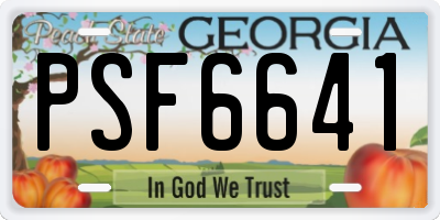 GA license plate PSF6641