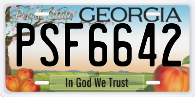 GA license plate PSF6642