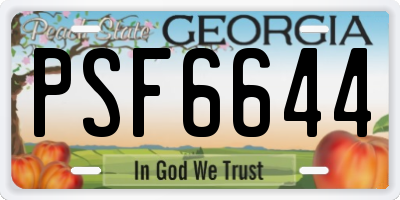 GA license plate PSF6644