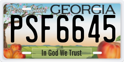 GA license plate PSF6645