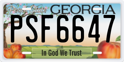 GA license plate PSF6647