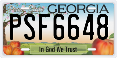 GA license plate PSF6648