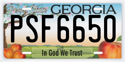 GA license plate PSF6650