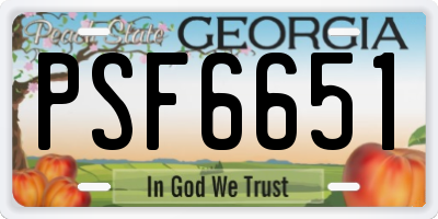 GA license plate PSF6651