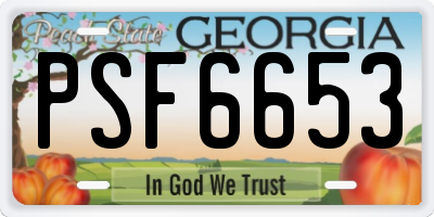 GA license plate PSF6653