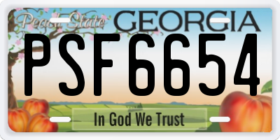 GA license plate PSF6654