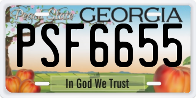 GA license plate PSF6655