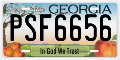 GA license plate PSF6656