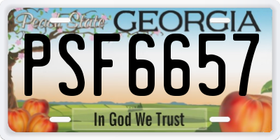 GA license plate PSF6657
