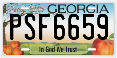 GA license plate PSF6659