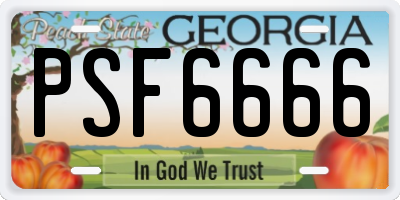 GA license plate PSF6666