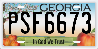 GA license plate PSF6673