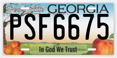 GA license plate PSF6675