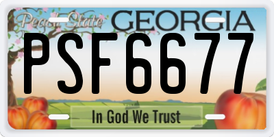 GA license plate PSF6677