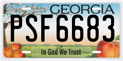 GA license plate PSF6683