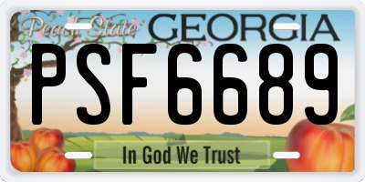 GA license plate PSF6689