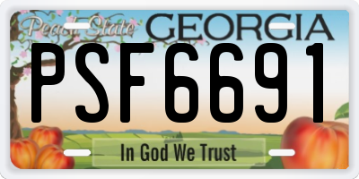 GA license plate PSF6691