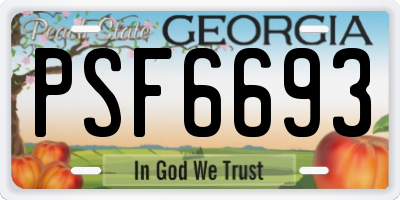 GA license plate PSF6693