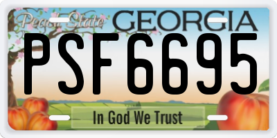 GA license plate PSF6695