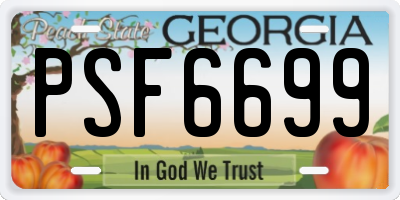 GA license plate PSF6699
