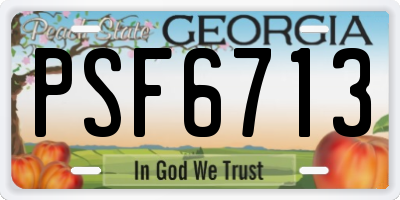 GA license plate PSF6713