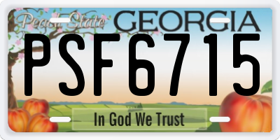 GA license plate PSF6715