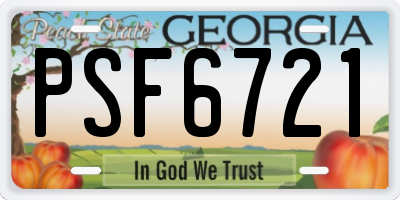 GA license plate PSF6721