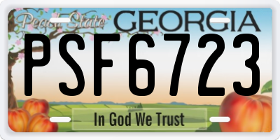 GA license plate PSF6723