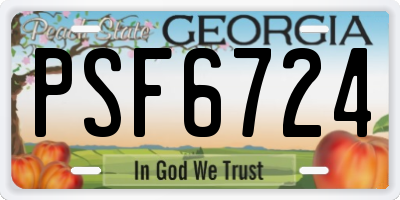 GA license plate PSF6724