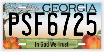 GA license plate PSF6725