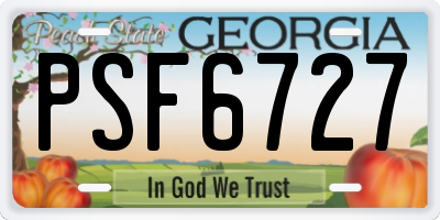GA license plate PSF6727