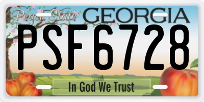 GA license plate PSF6728