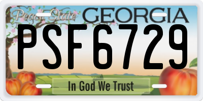 GA license plate PSF6729