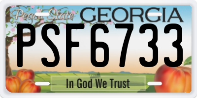 GA license plate PSF6733