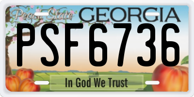 GA license plate PSF6736