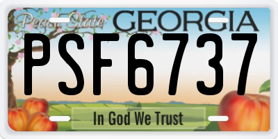 GA license plate PSF6737