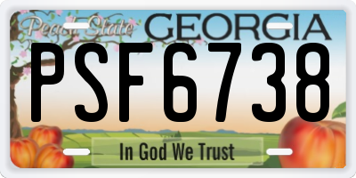 GA license plate PSF6738