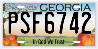 GA license plate PSF6742