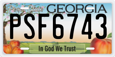 GA license plate PSF6743