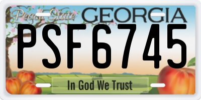 GA license plate PSF6745