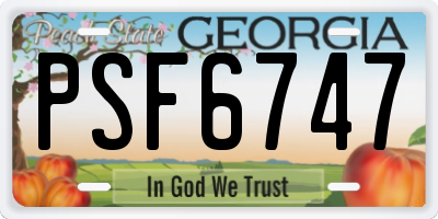 GA license plate PSF6747