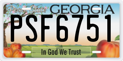 GA license plate PSF6751