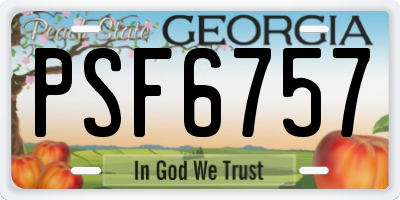 GA license plate PSF6757