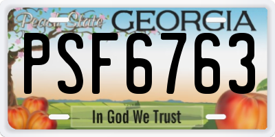 GA license plate PSF6763